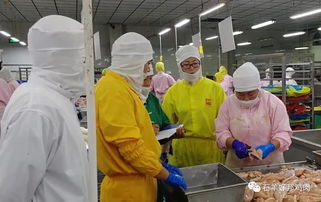 切磋技藝 提升專(zhuān)業(yè)水平—石羊涇河食品公司成功舉辦技能比武活動(dòng)